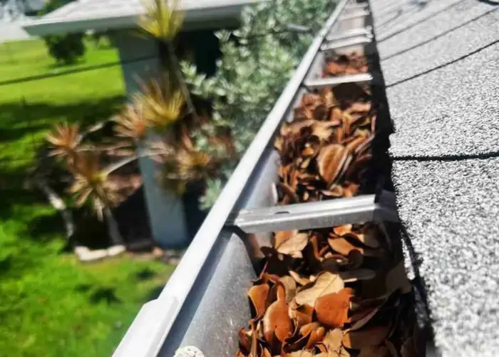 Seattle gutter cleaning home page